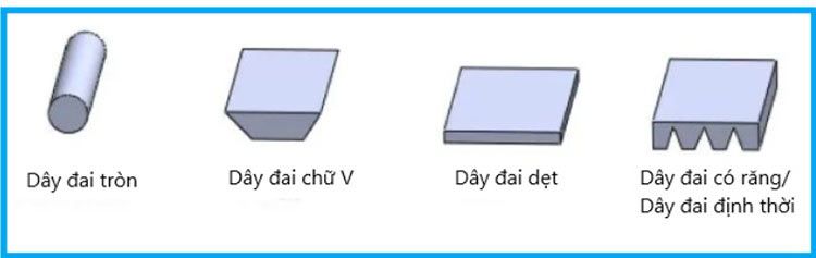 cac loai day dai