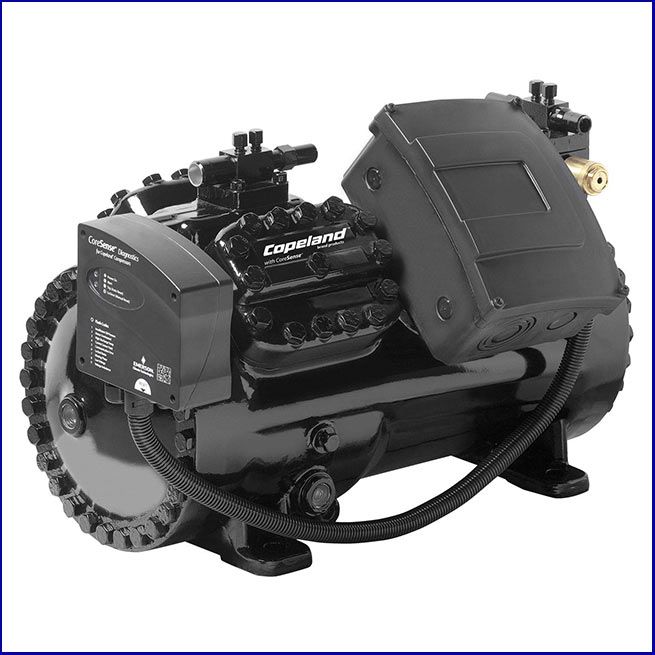 lam the nao de chon may ne khi lanh