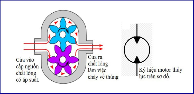 motor thuy luc kieu banh rang