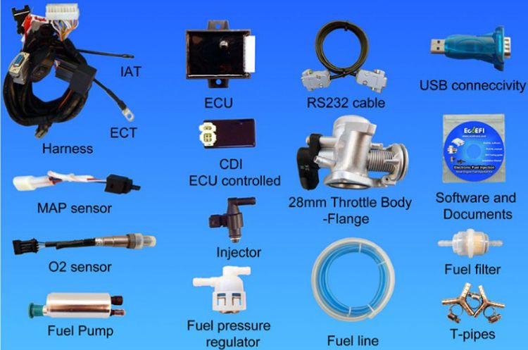 cac chi tiet cua bo ecotron